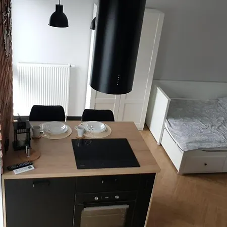 公寓 Zamkowy 卢布林